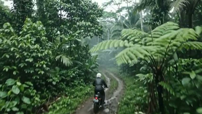 Forest path from the sample riding clip